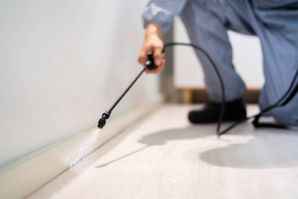 Professional exterminator conducting IPM assessment in New Albany